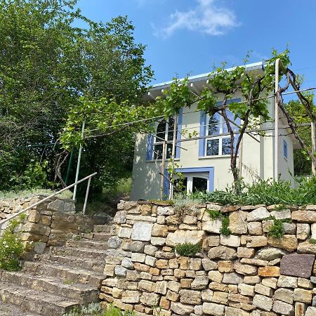 Weinbergshaus Mit Blick Auf'S Wasser Salzatal 외부 사진