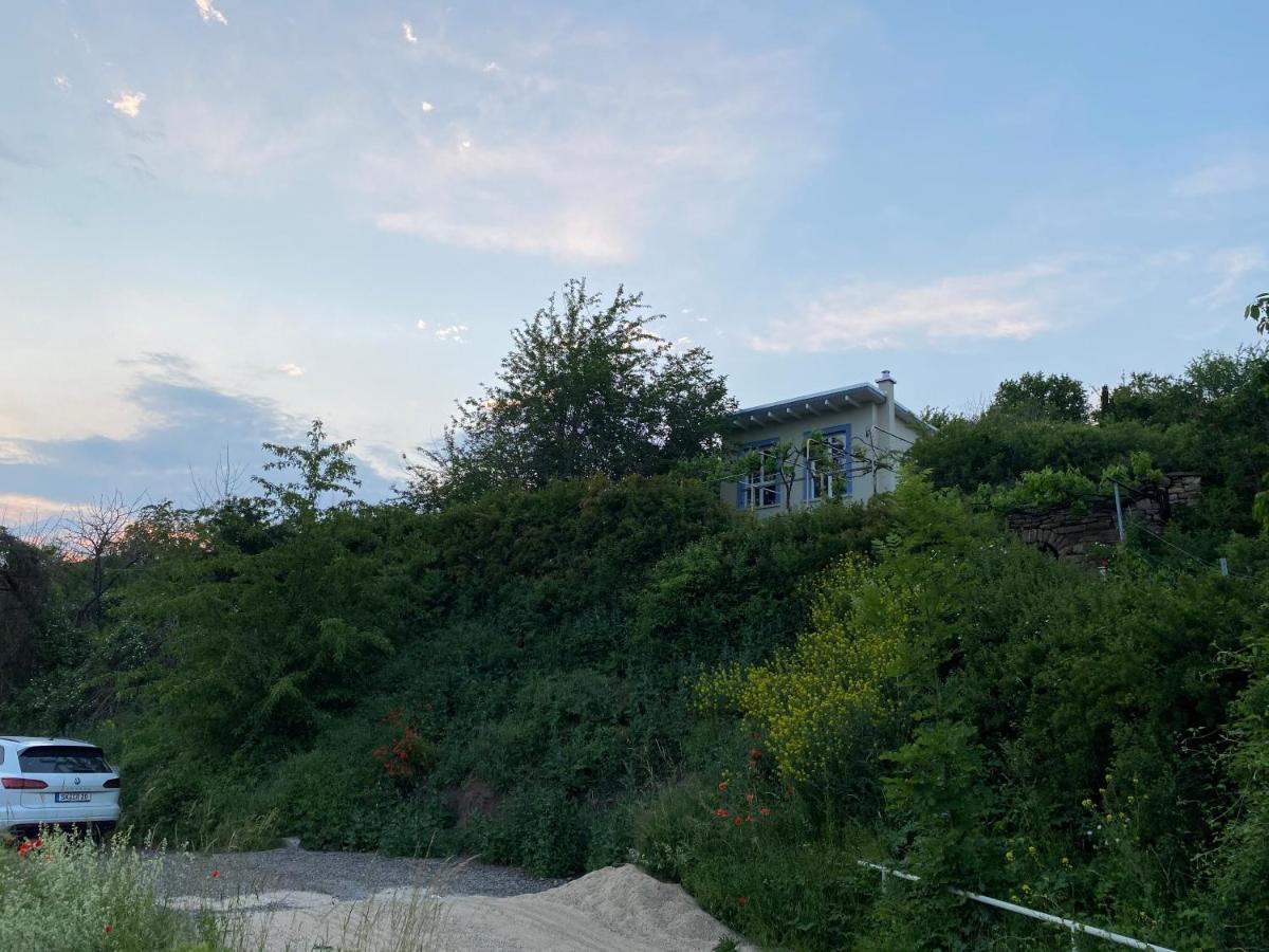 Weinbergshaus Mit Blick Auf'S Wasser Salzatal 외부 사진