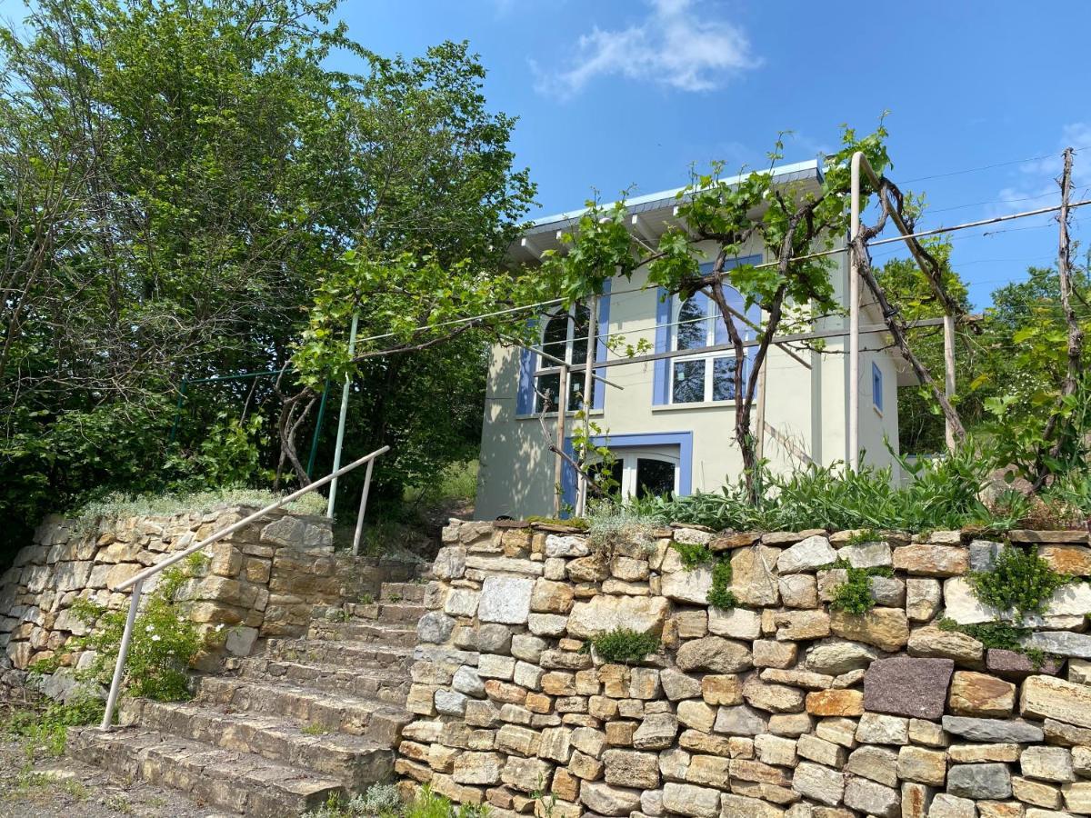 Weinbergshaus Mit Blick Auf'S Wasser Salzatal 외부 사진